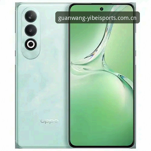 易倍体育app功能下载不了怎么办？多角度深度分析与实用解决方案